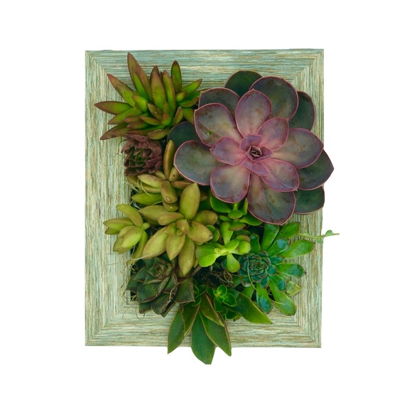 5x7 Portrait Gardens Vertical Planter 🌱 - Picture 3 of 6